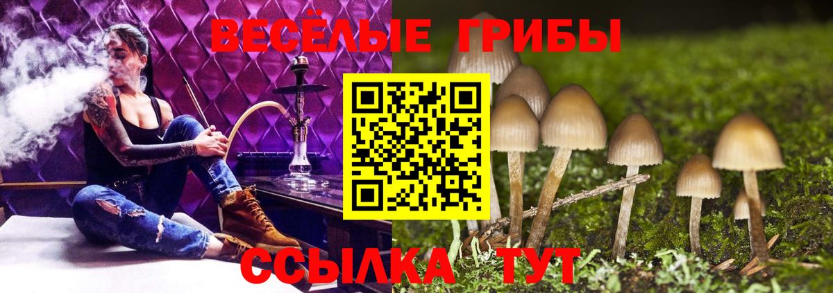 Петропавловск-Камчатский  Галлюциногенные грибы Psilocybine cubensis  Вход с VPN  Галлюциногенные грибы мицелий 