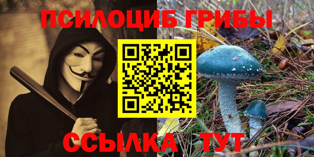 Галлюциногенные грибы мухоморы Петропавловск-Камчатский